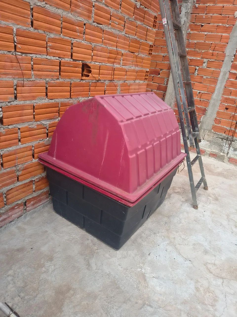 Rogério  - Foto 2