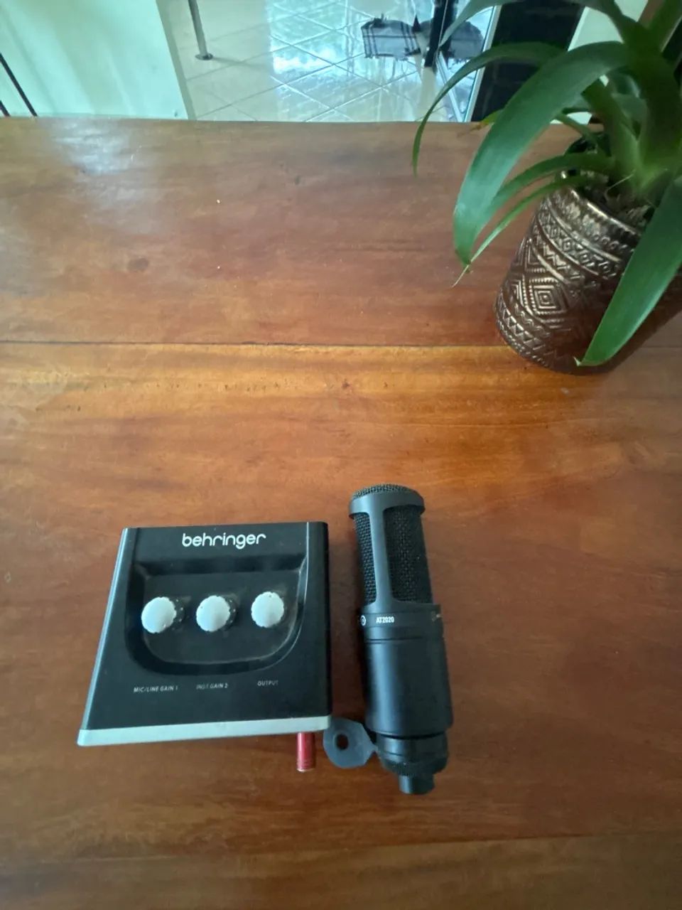 BEHRINGER UM2 + At2020