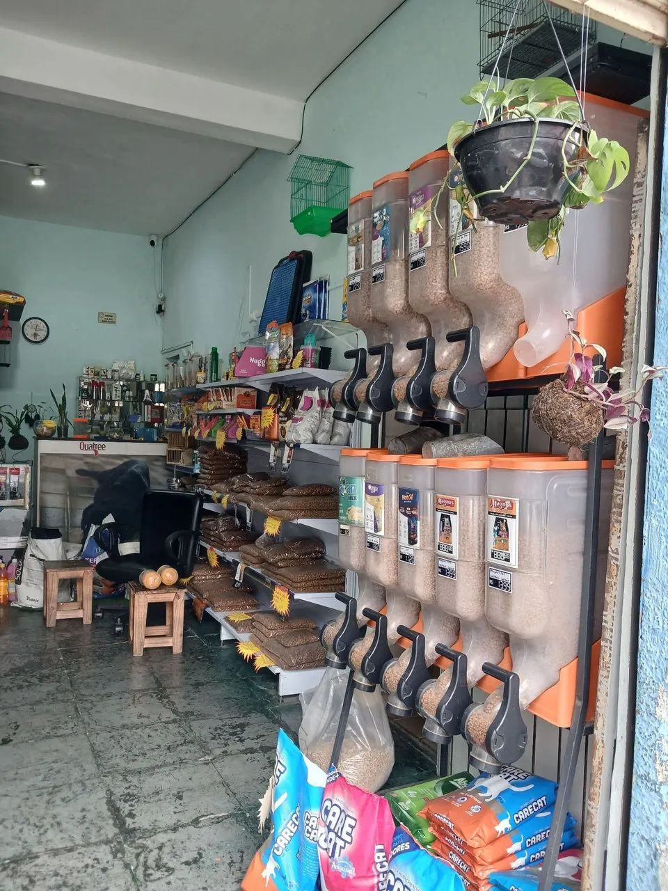Passo ponto pet shop - Foto 4
