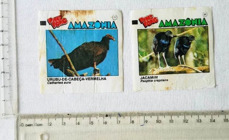 Colecionáveis - Figurinhas Ping Pong - Amazônia - 2 Figurinhas - 1991