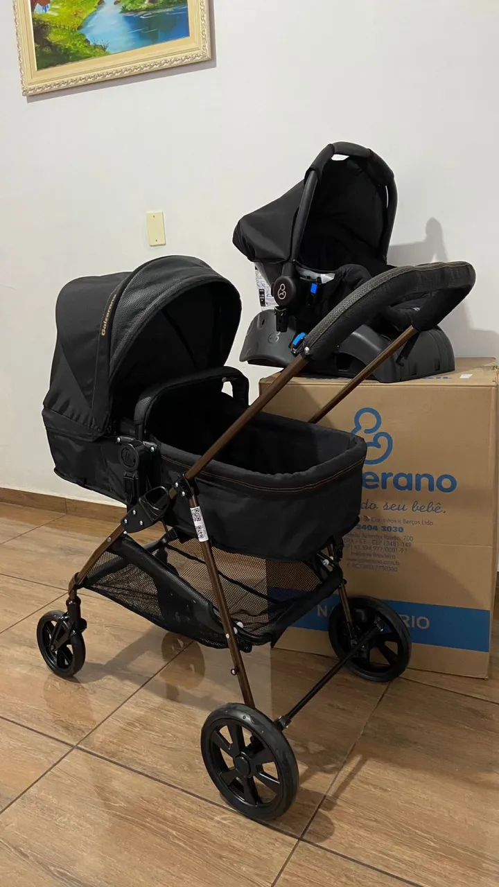 Carrinho de bebe Moisés Galzerano