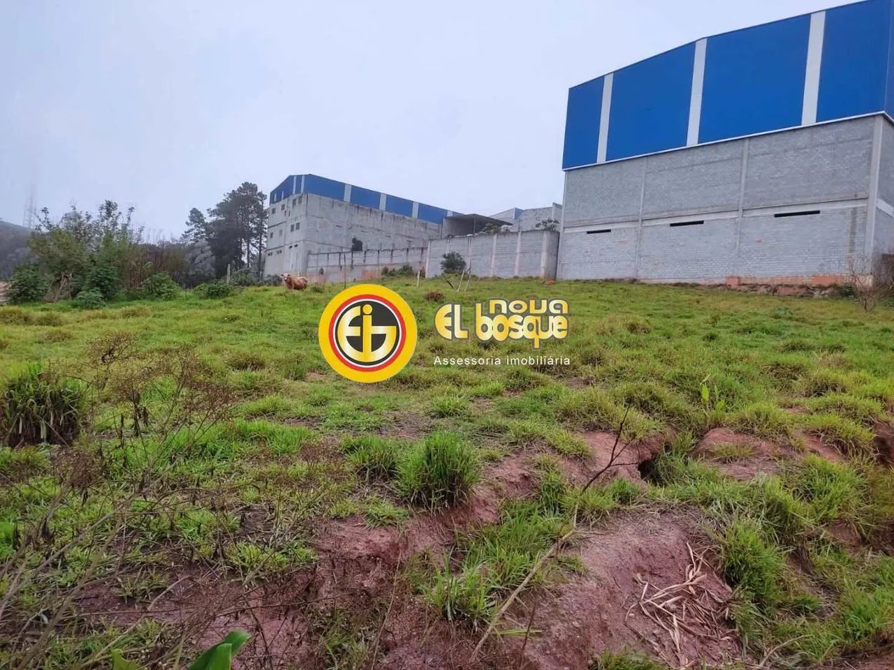 Terreno, Palanque, São Paulo - R$ 1.5 mi, Cod: - Foto 2
