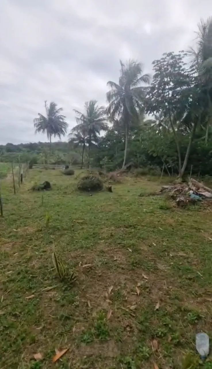 Vendo Terreno de procedência  - Foto 2