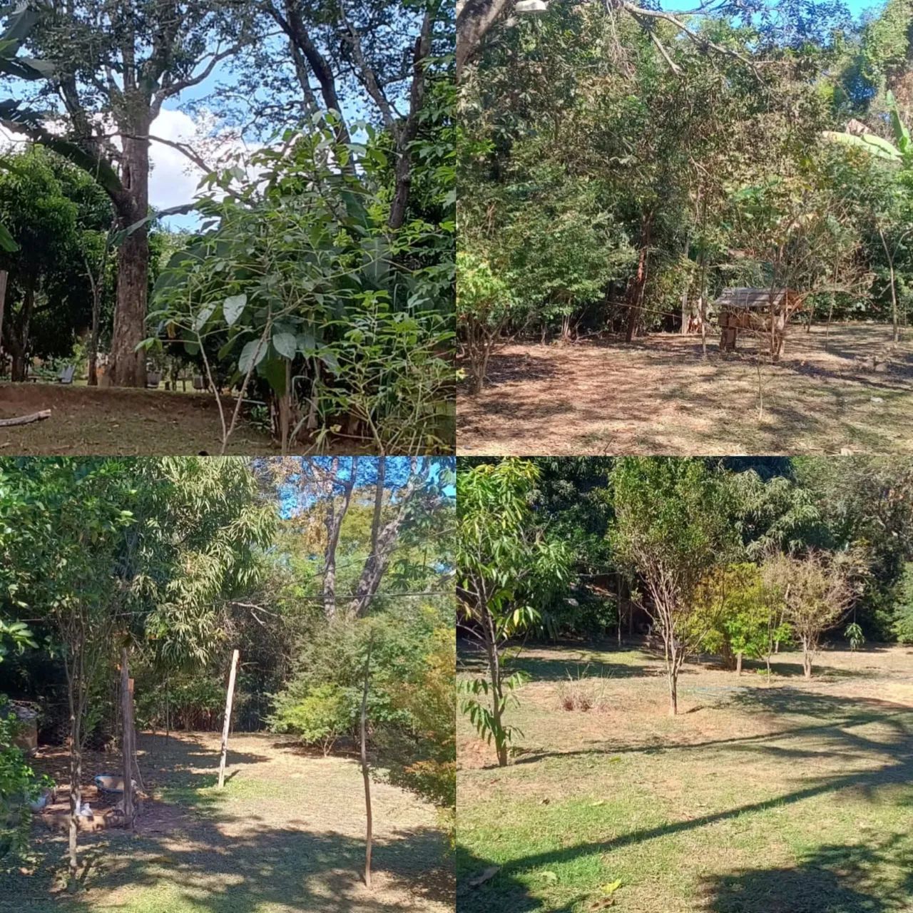 Vendo uma linda chácara  - Foto 3