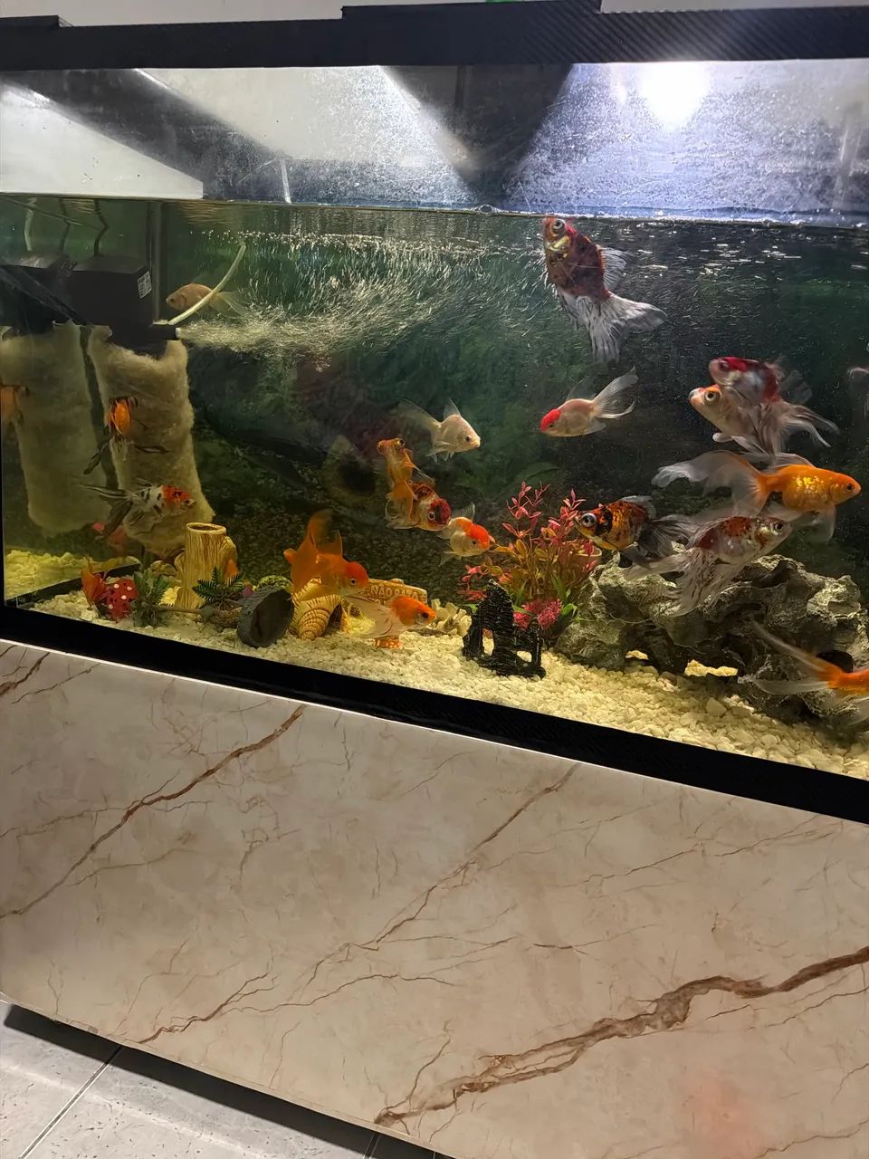 Aquário impecável  - Foto 4