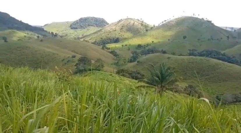 TERRA COM 170 HECTARES - Foto 3