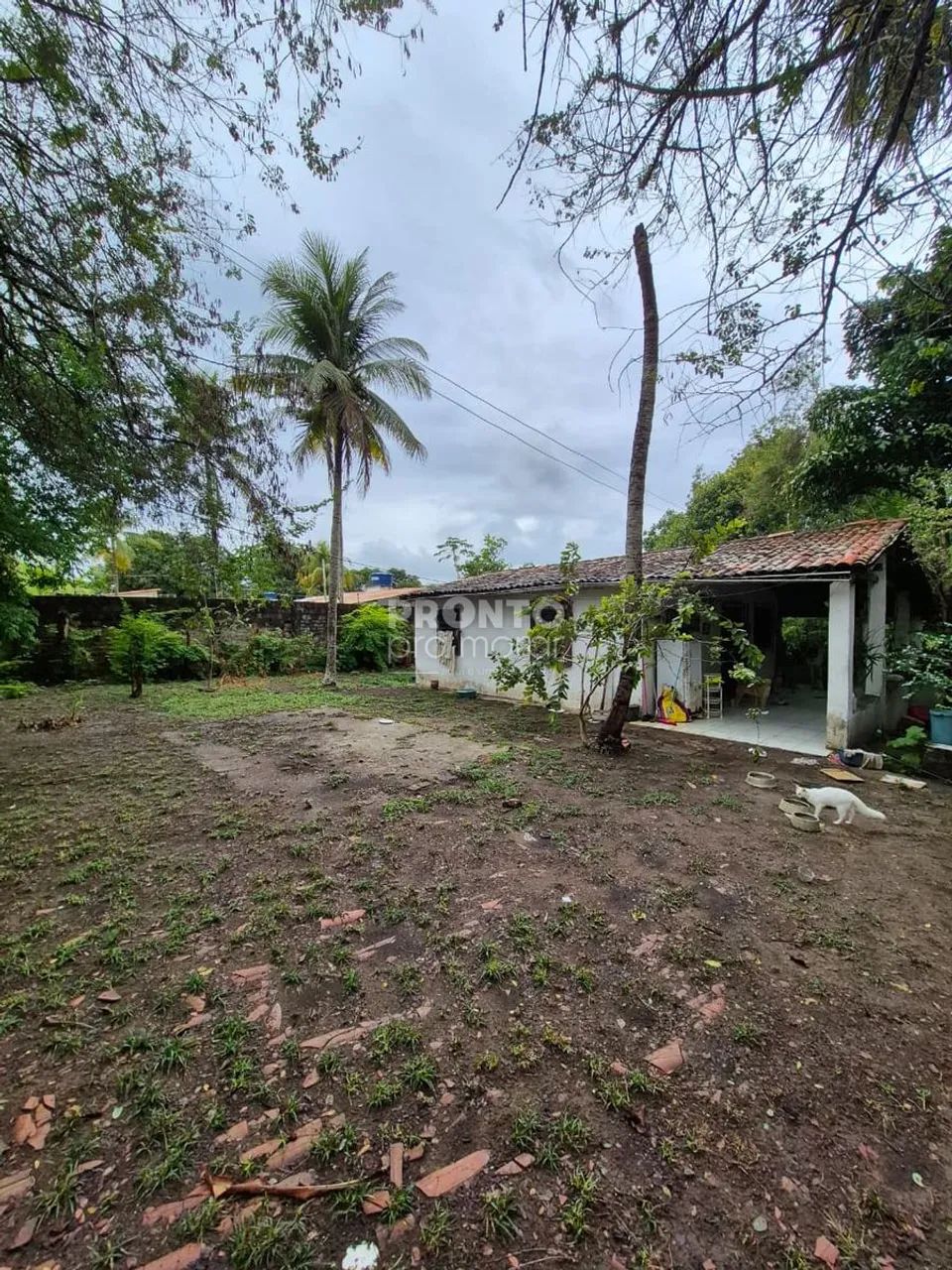 Lote/Terreno/Condomínio em Guabiraba - Foto 3