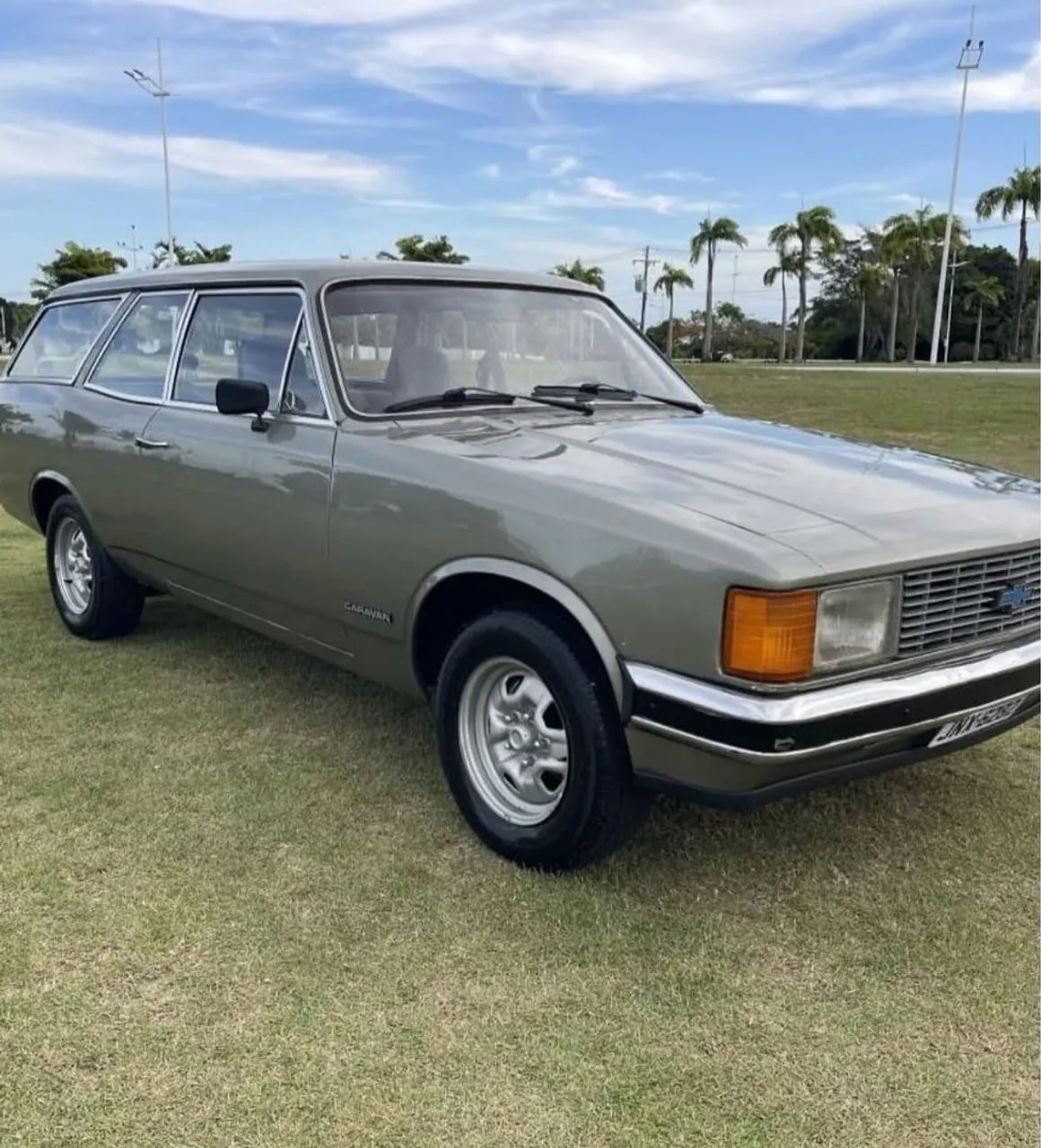 Chevrolet Caravan Caravan L/SL/S/SS 2.5/4.1/4.2 1984