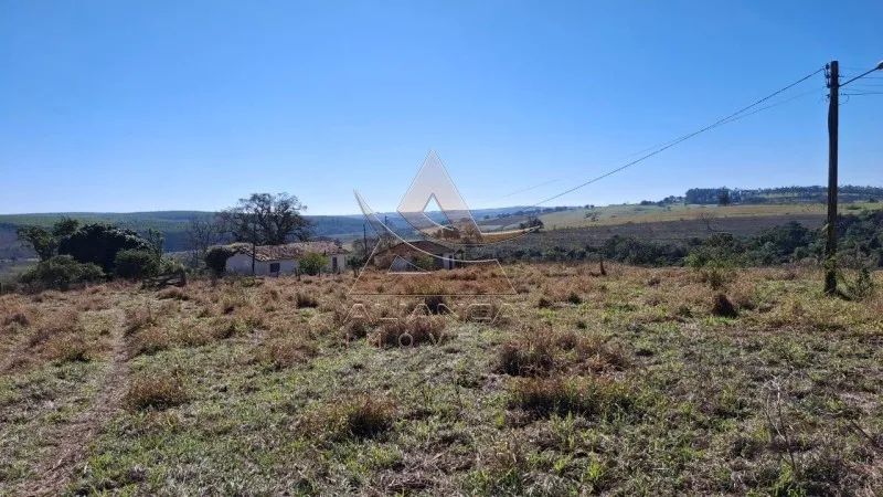 Fazenda - Anhembi - Zona Rural - Foto 5