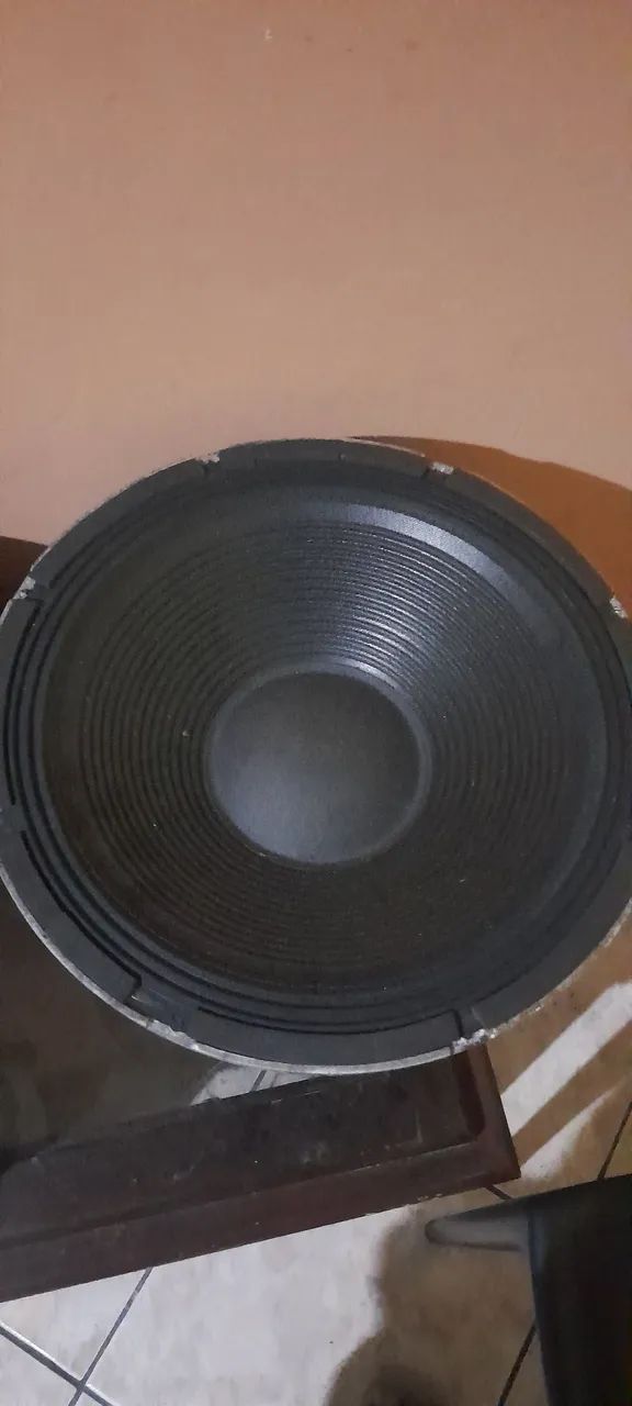 Alto-falante de 15 polegadas 1100 watts  de potência. 