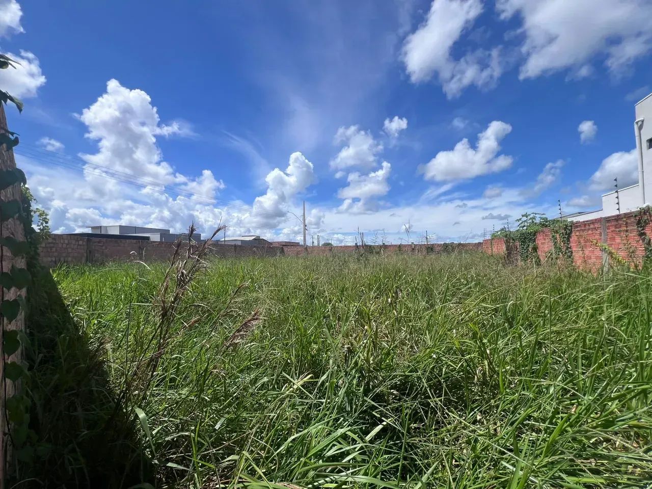 Terreno de esquina com 397m², totalmente murado - Foto 3