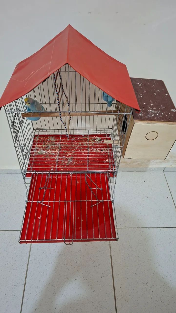 Gaiola  - Foto 2