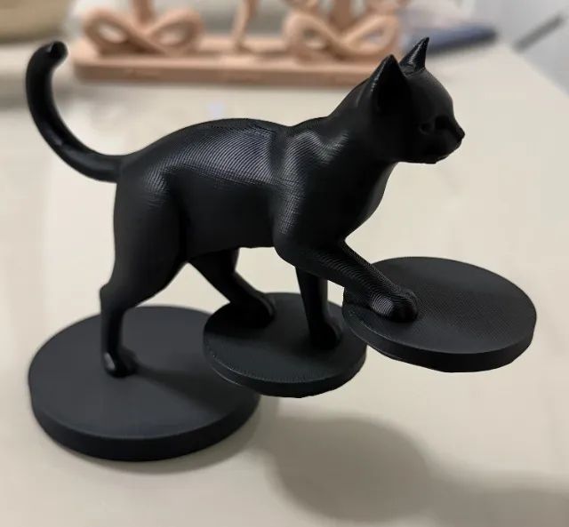 Equilibrio Felino - Foto 2