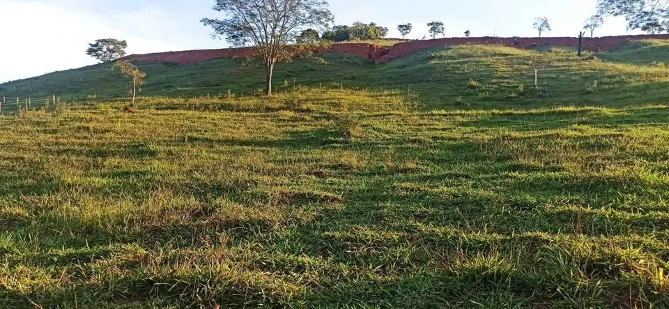 Vendo Excelente Terreno - Taquaral  - Foto 5
