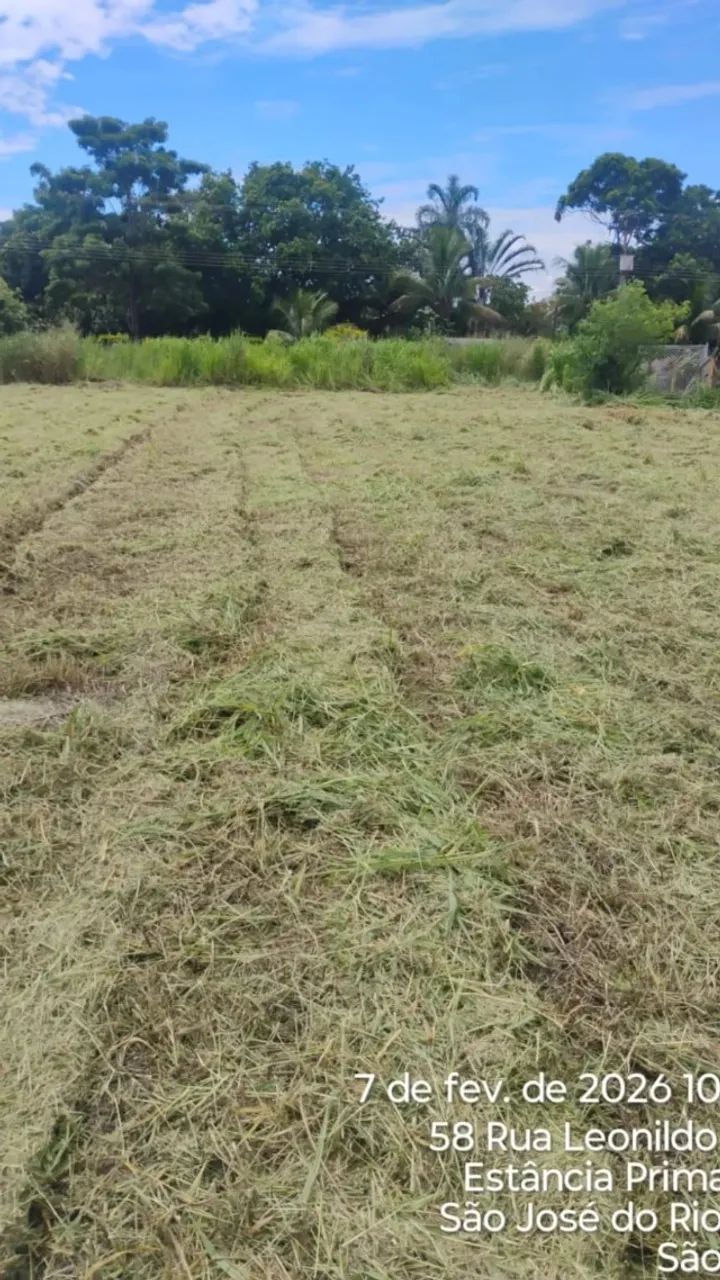 TERRENO 2500m2 - Foto 3