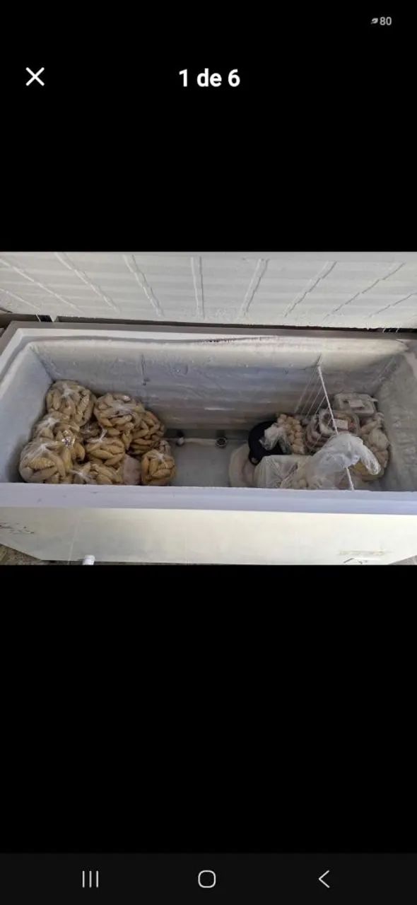 Freezer Electrolux 513L 