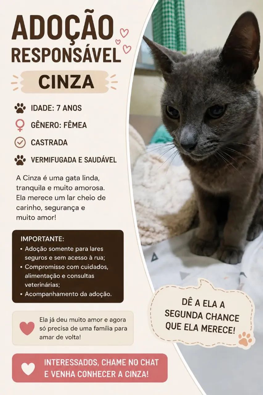 Adoção responsável 