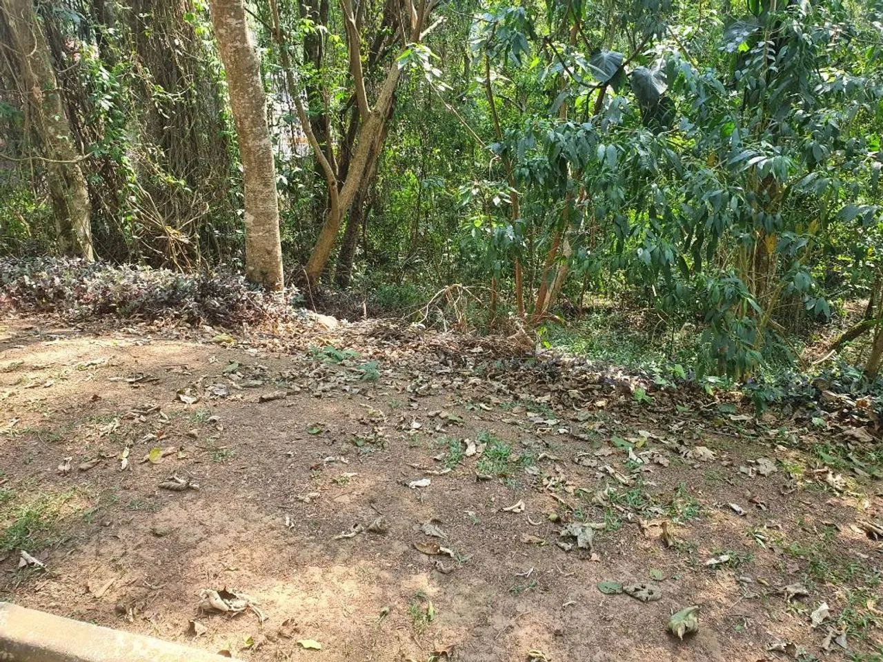 Condominio fechado com segurança e lazer - Foto 4