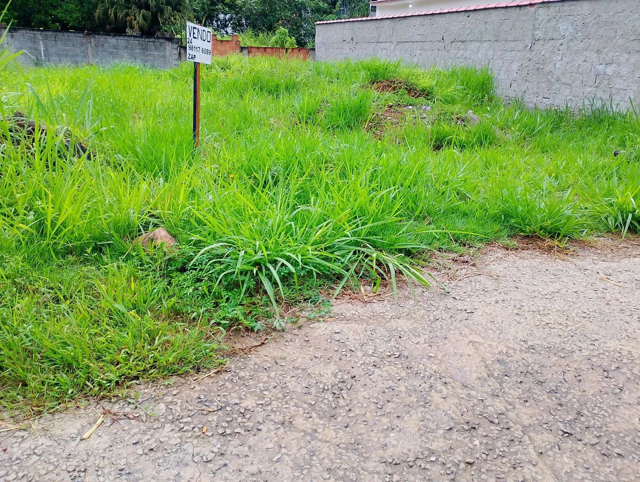  Terreno a venda no centro de Mendes 