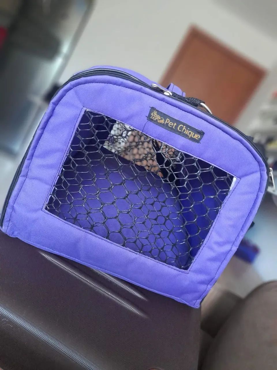 Bolsa de transporte 