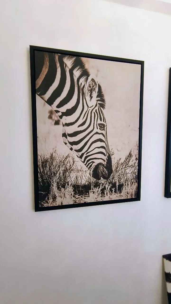 Quadro de zebra em canvas