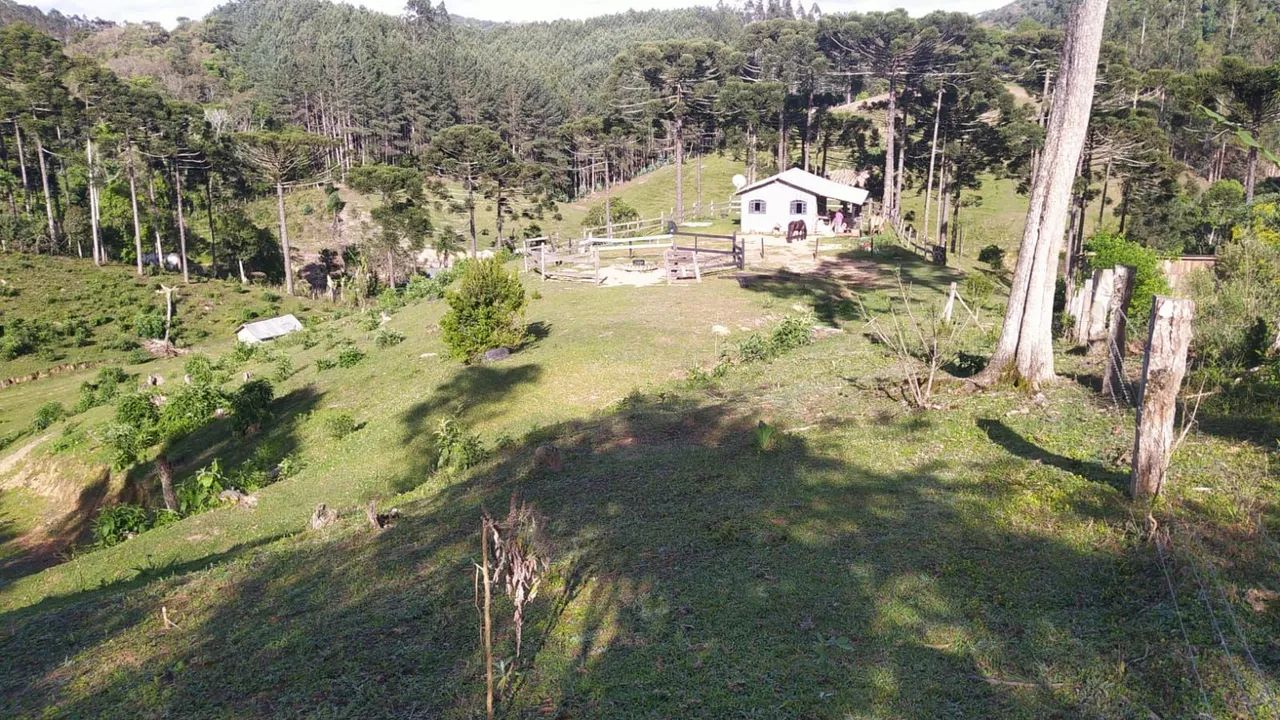 Vendo Chacara Itaiacoca  do lado de Ponta Grossa - Foto 2