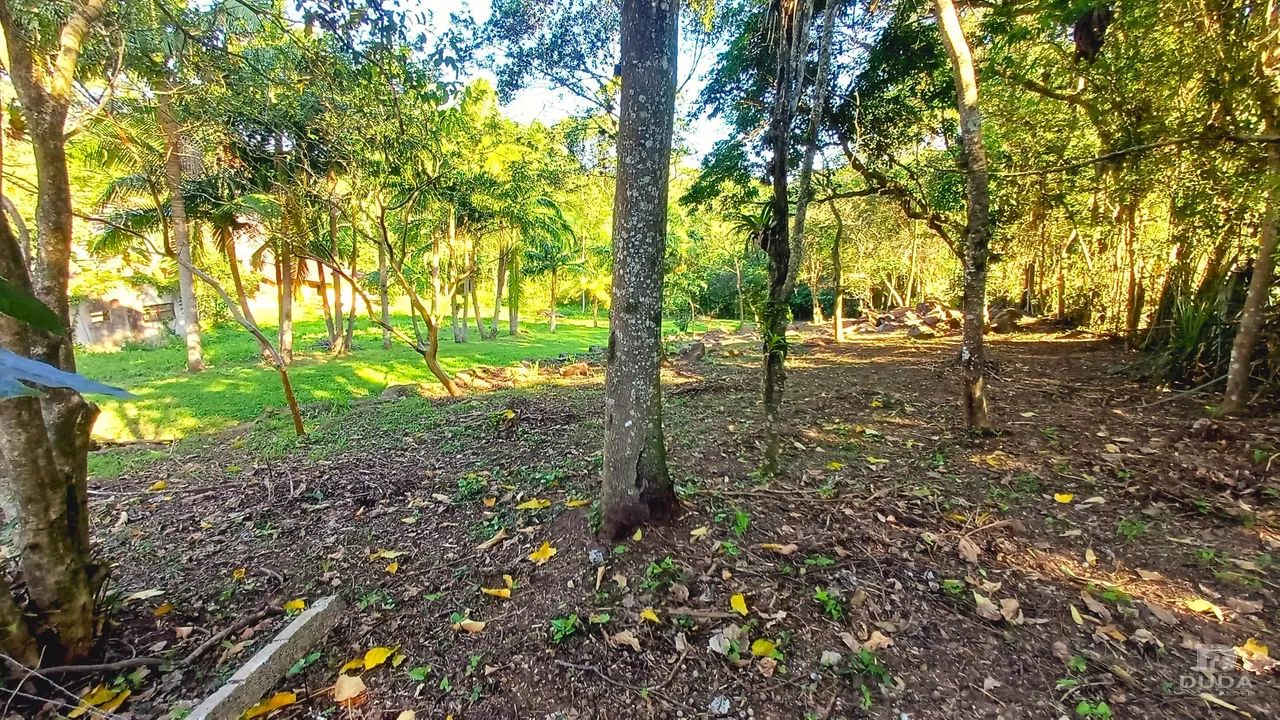 Terreno à venda em Garopaba - Encantada! - Foto 4