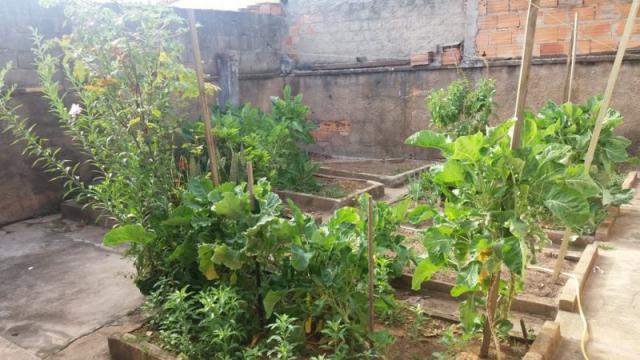 Casa à venda com 4 dormitórios em Alípio de melo, Belo horizonte cod:631 - Foto 10