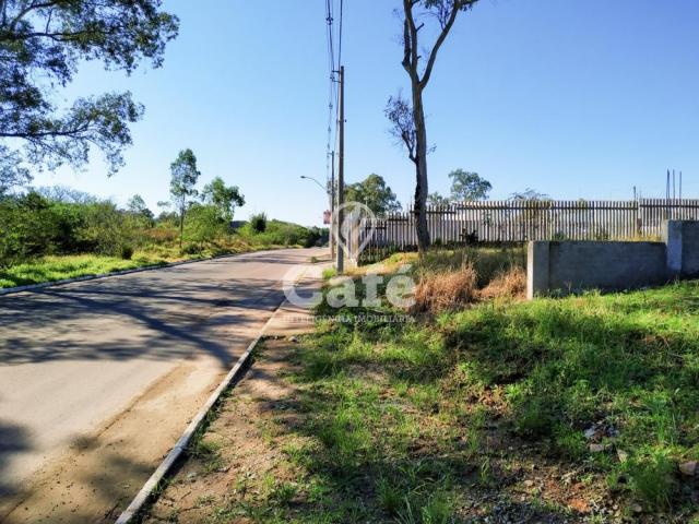 Terreno no bairro diácono joão luiz pozzobon, com obra e projeto; - Foto 3