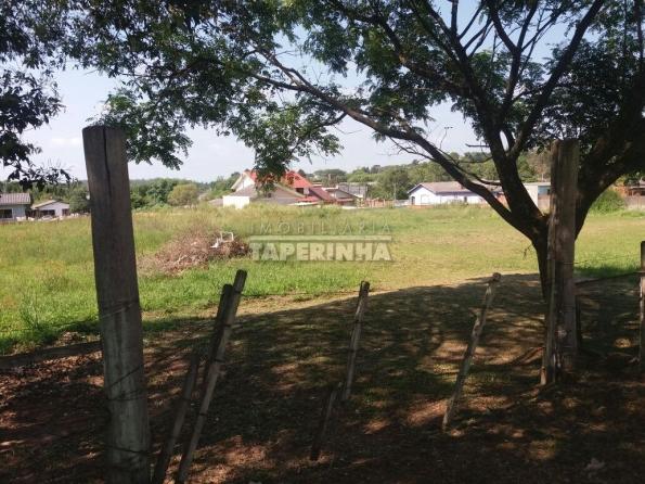 Terreno à venda em Pinheiro machado, Santa maria cod:11048