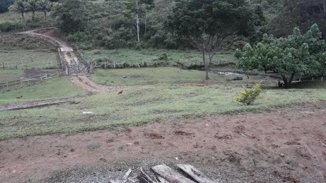 Fazenda de Cacau -Ilheus Ba - Foto 4