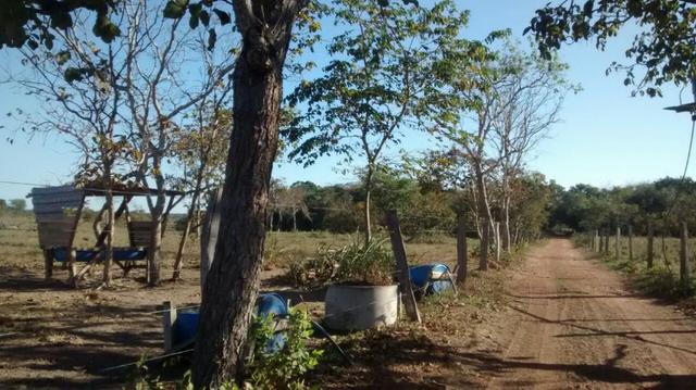 Vendo troco piscicultura montada com 29 tanques, 3 casas, pasto, curral - Foto 6