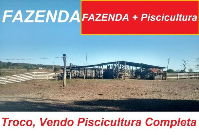 Vendo troco piscicultura montada com 29 tanques, 3 casas, pasto, curral
