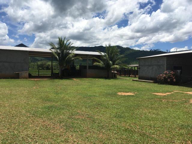 Fazenda Rosario Oeste 50 km fora asfalto 782 ha R$ 3 mi - Foto 6