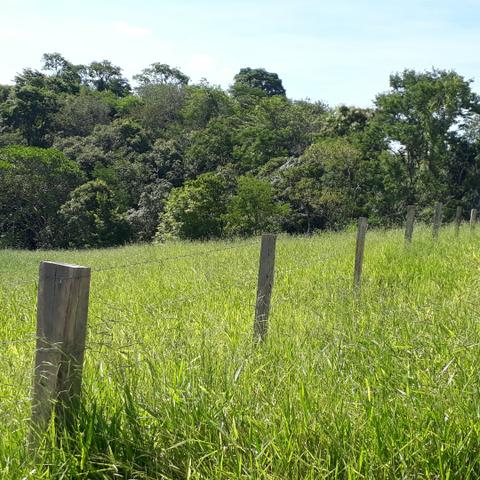 Chácara 4.000m2 - Foto 2