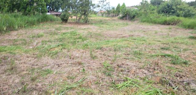Terreno - Foto 2