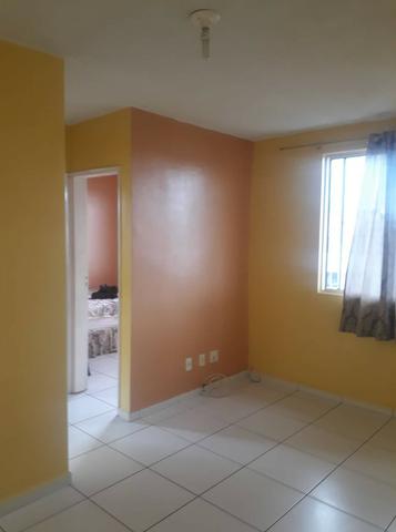 Ideal samambaia no 5 andar não peço caução e no 3 andar, esse peço caução - Foto 4