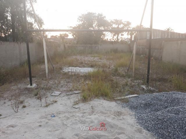 Terreno murado e aterrado de frete para a rodovia - Foto 7