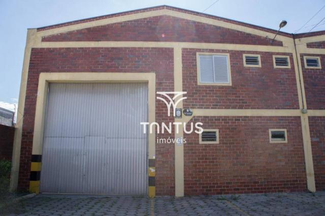 Barracão para alugar, 245 m² por r$ 2.700,00/mês - iná - são josé dos pinhais/pr - Foto 2