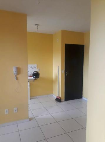 Ideal samambaia no 5 andar não peço caução e no 3 andar, esse peço caução - Foto 15