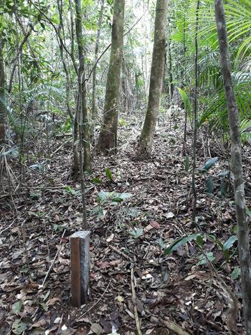 Sitio em Toca da onça,Lumiar,Nova Friburgo - Foto 16