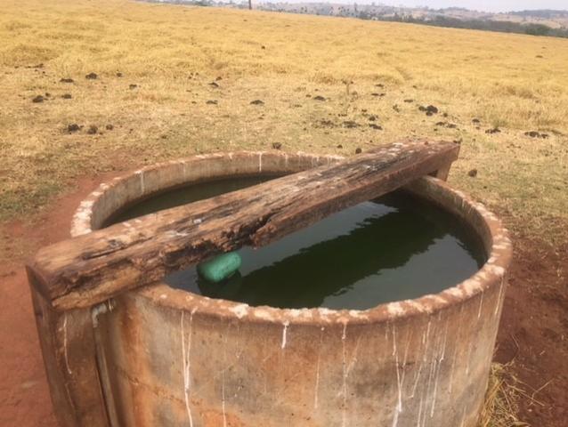 Fazenda 20 - Foto 7