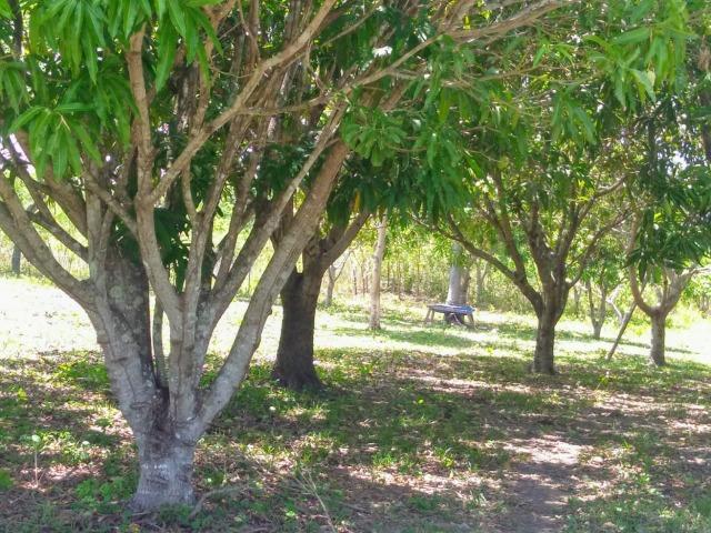 Sitio estância maravilha