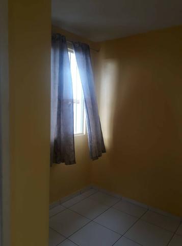 Ideal samambaia no 5 andar não peço caução e no 3 andar, esse peço caução - Foto 10