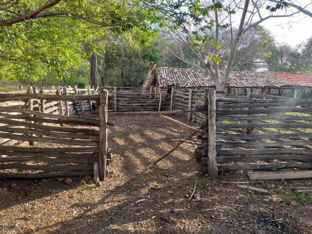 Vende-se uma fazenda - Foto 11