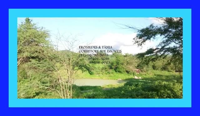 Fazenda Próximo Avencas por 15 mil ,cada Hectares ,Agende já sua Visita ! - Foto 14