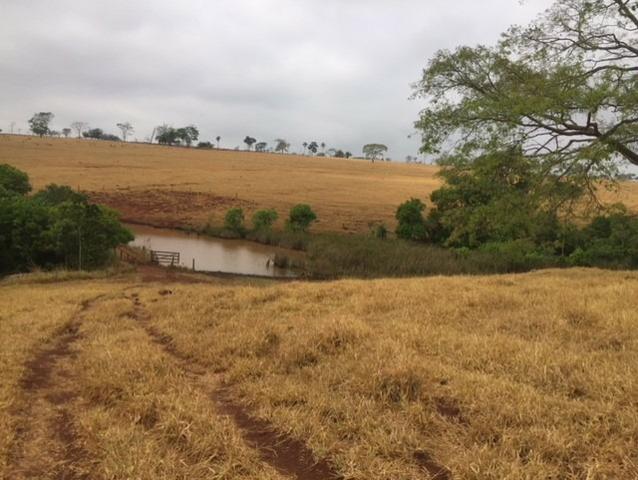 Fazenda 20 - Foto 17