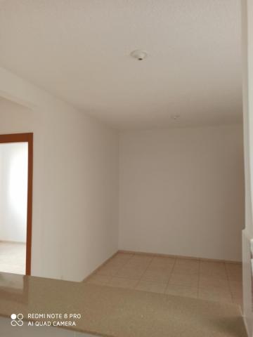 Apartamento para alugar com 2 dormitórios em Jardim nunes, Sao jose do rio preto cod:L7294 - Foto 2