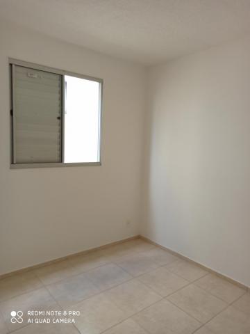 Apartamento para alugar com 2 dormitórios em Jardim nunes, Sao jose do rio preto cod:L7294 - Foto 12