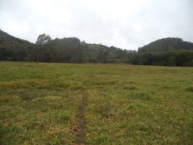 Domingo martins pedra azul - Foto 5